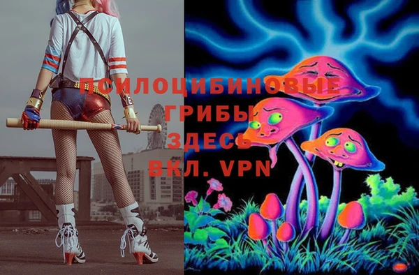 прущие крисы Елабуга
