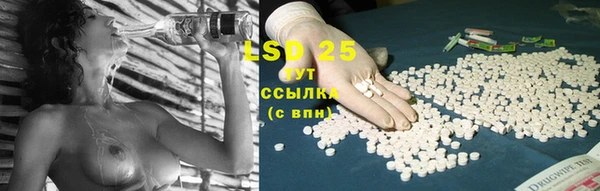 прущие крисы Елабуга