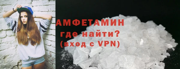 прущие грибы Елизово