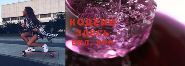 прущие грибы Елизово