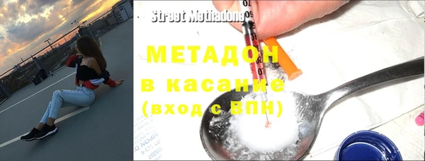 прущие грибы Елизово