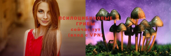 синтетический гашиш Ельня