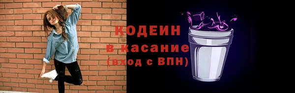 прущие крисы Елабуга