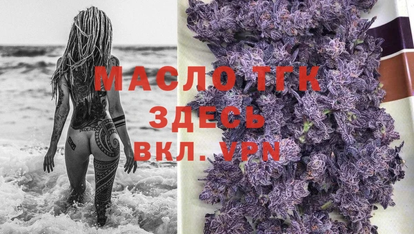 прущие грибы Елизово