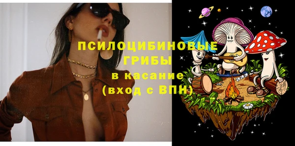 синтетический гашиш Ельня
