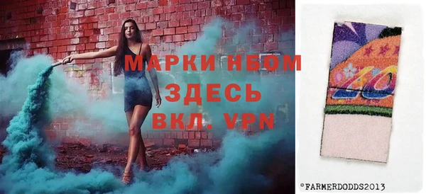 прущие грибы Елизово