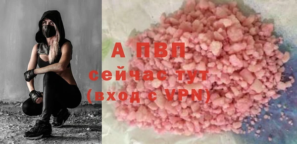 прущие грибы Елизово
