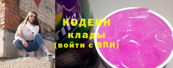 прущие грибы Елизово