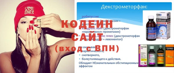 прущие грибы Елизово