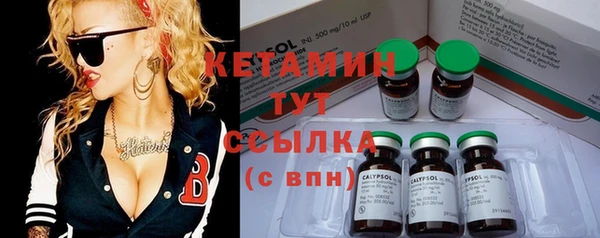 прущие грибы Елизово