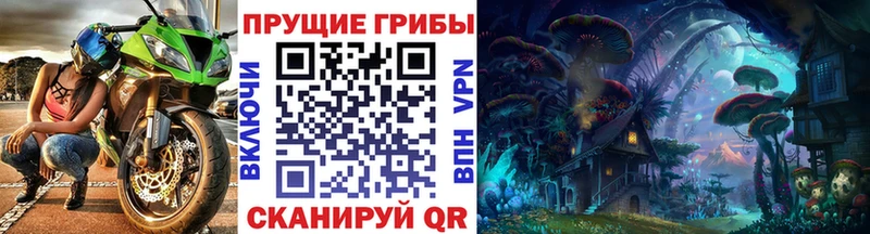 Галлюциногенные грибы Psilocybe  Купить закладки  Красновишерск 